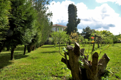 Albergue Pallanes