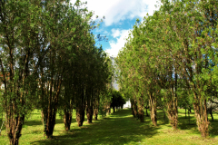 Albergue Pallanes